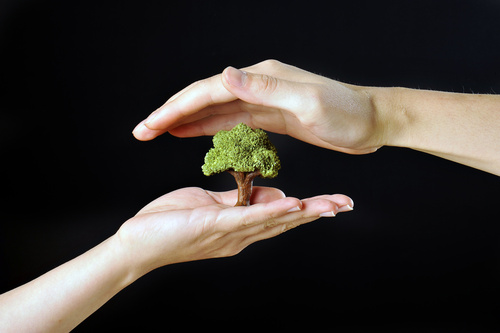 lavoro nell'ambiente