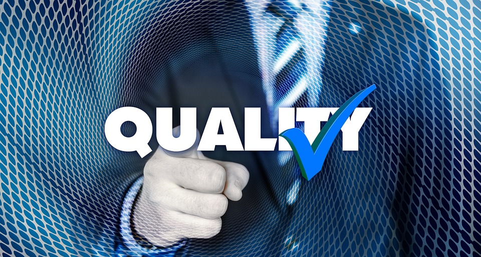 quality consultant